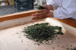 Alles over Gyokuro: De Keizer van Japanse groene thee - De Theeplantage