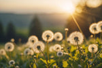 Bloedsuikerregulatie met kruidenthee: Effectieve natuurlijke aanpak - De Theeplantage