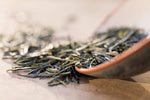 De bijzondere Gyokuro Mikoto - De Theeplantage