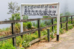 Idalgashinna thee: Een diepgaande gids over Sri Lanka's exclusieve bergthee - De Theeplantage