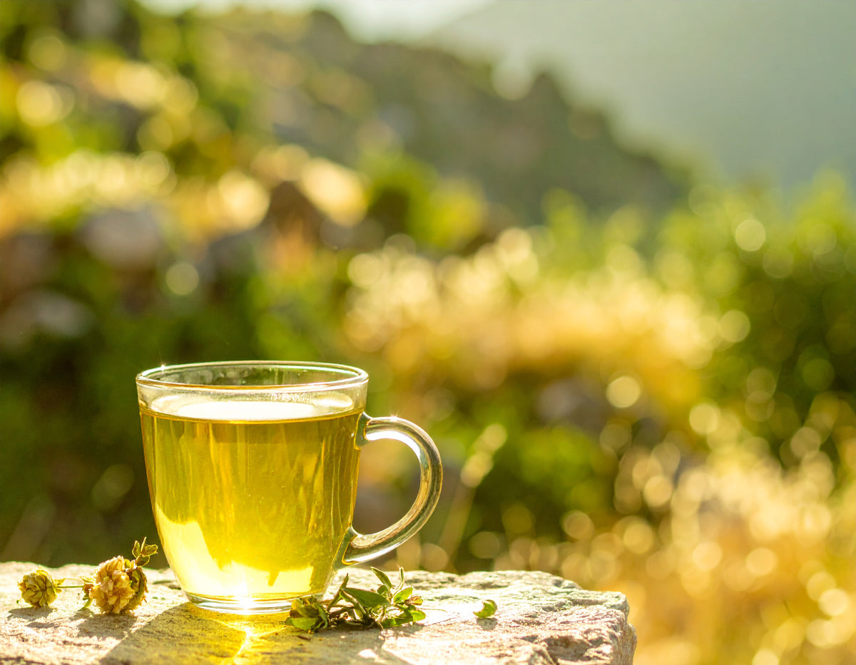 Gedroogde Sideritis-bloemen en een kopje Griekse bergthee met citroen.