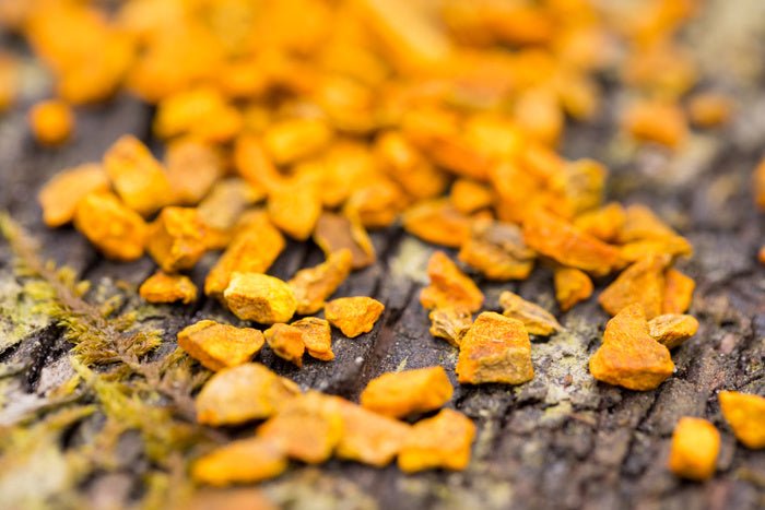 Gedroogde biologische kurkuma stukjes voor het zetten van kurkuma thee