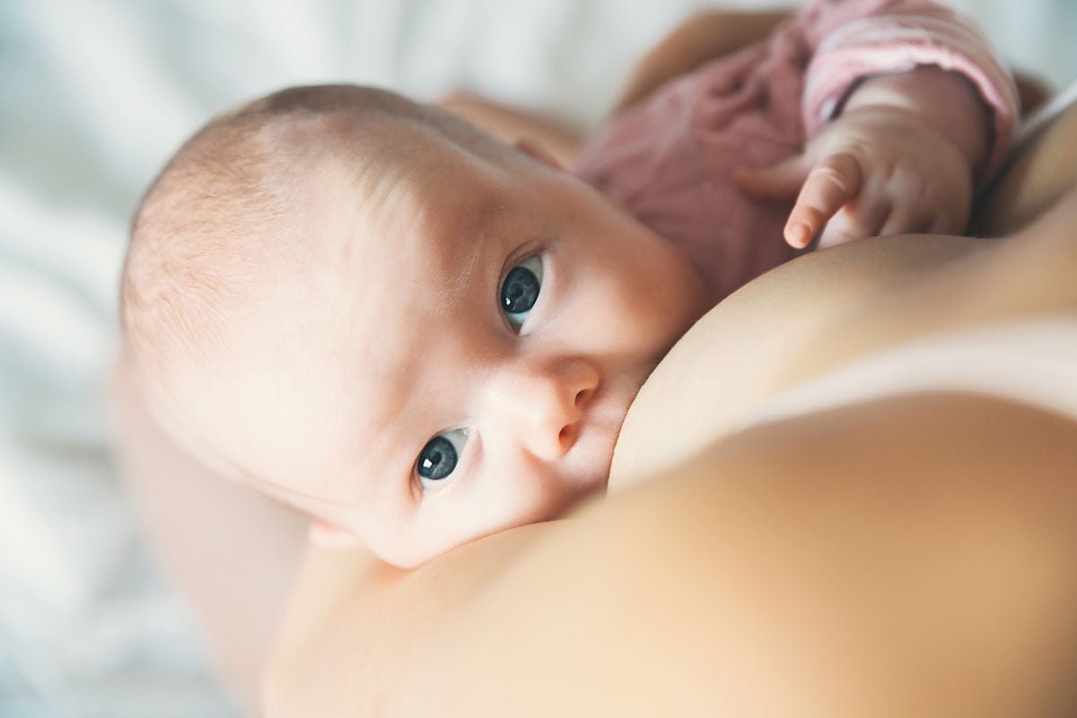 Kruidenthee bij borstvoeding: veilige opties en tips