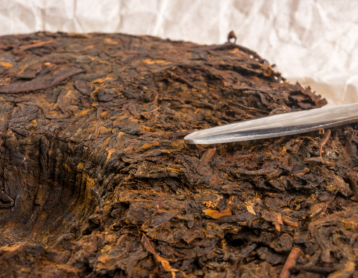 Close up pu erh cake