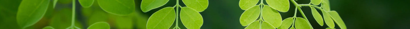 Quercetine in kruidenthee: Voordelen en gebruik - De Theeplantage