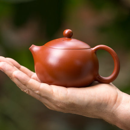 Collection image for: Gong fu theeservies