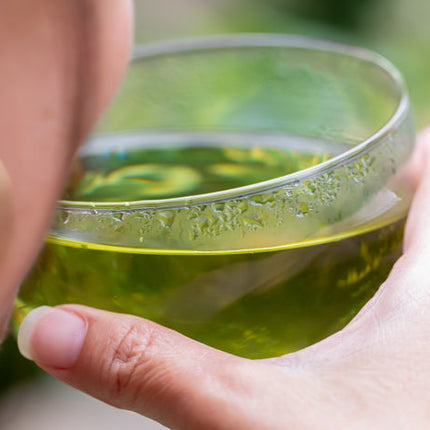 Kruidenthee drinken
