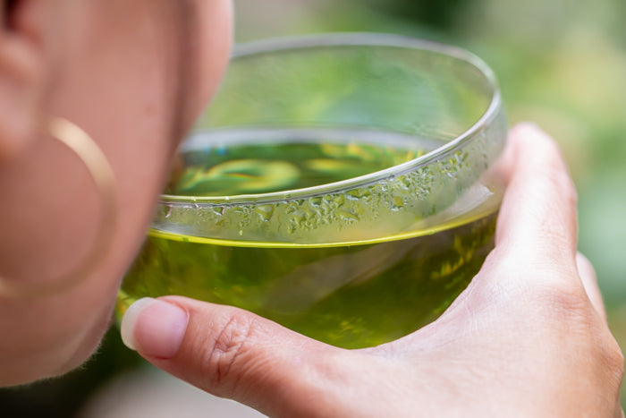 Kruidenthee drinken