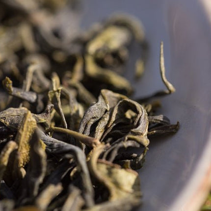 Specials - De Theeplantage