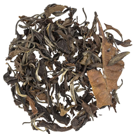 Biologische losse Colombia Valle del Cauca Amber Oolong theebladeren in bruin en groen liggen rond op een witte ondergrond.