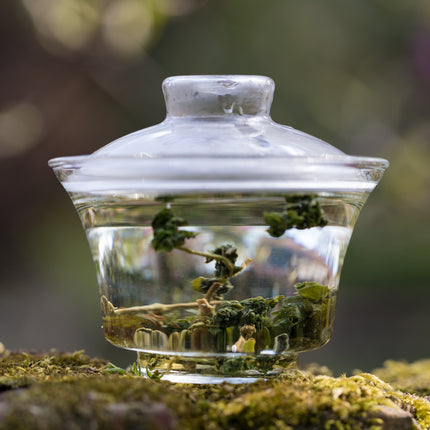 Glazen gaiwan van 135 ml gevuld met losse groene thee en heet water, buiten op mos geplaatst met een zachte natuurachtergrond.