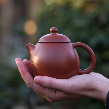 Een hand houdt een kleine ronde Yixing Zisha theepot van 230 ml met deksel en gebogen oor, voor een groene onscherpe achtergrond.