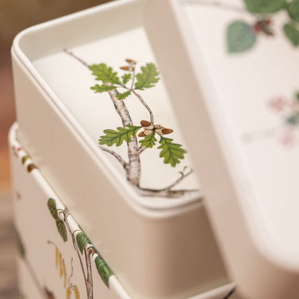 Twee witte, vierkante theeblikken van 250 gram met groene en bruine eikendecoratie, deels open zodat het motief binnenin zichtbaar is.