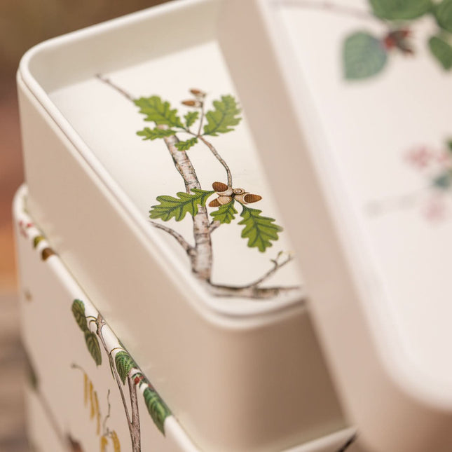 Twee witte, vierkante theeblikken van 250 gram met groene en bruine eikendecoratie, deels open zodat het motief binnenin zichtbaar is.