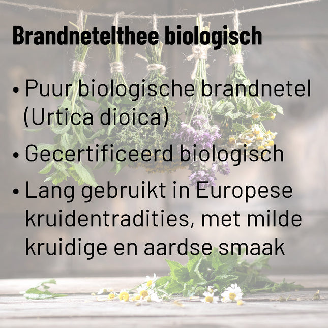 Brandnetelthee Biologisch