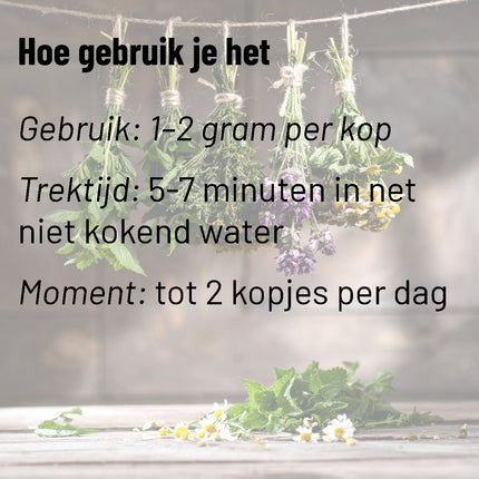 Brandnetelthee Biologisch
