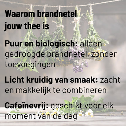 Brandnetelthee Biologisch