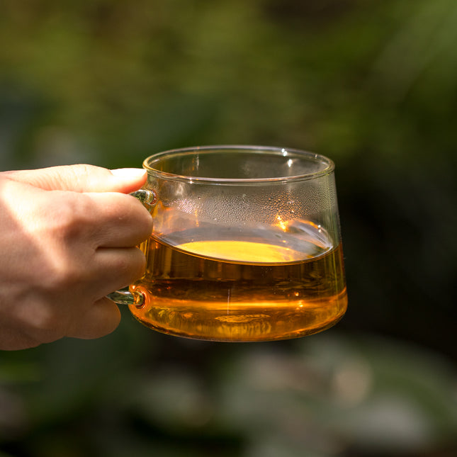 Een hand houdt een glazen CONUM-mok van 0,45 liter met amberkleurige thee vast tegen een groene, onscherpe achtergrond.