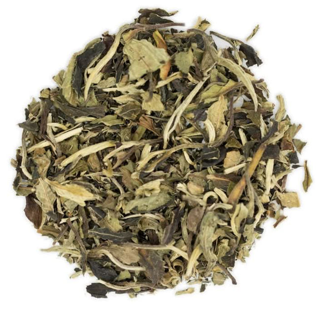 De Theeplantage Bai Mu dan Biologisch