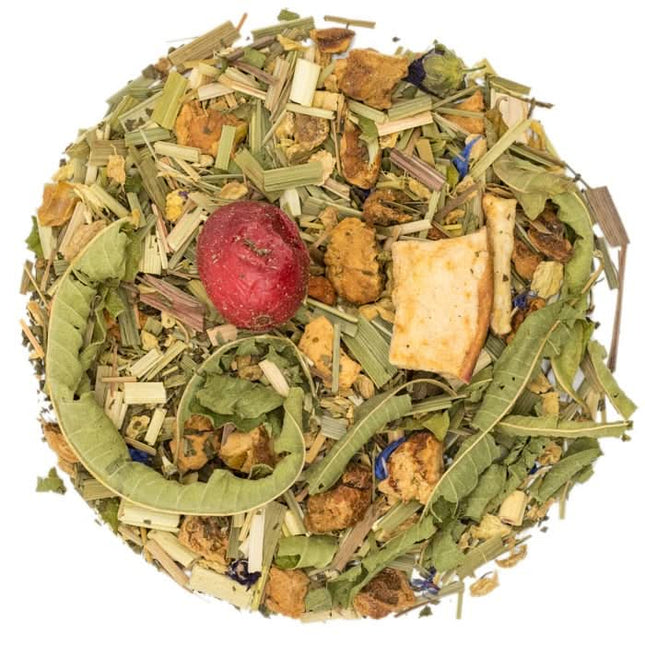 De Theeplantage Gember citroen fruitmix biologisch