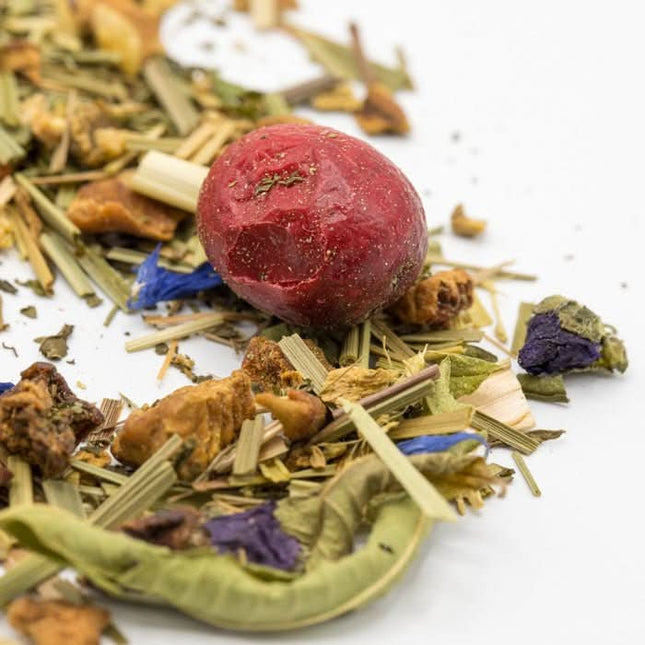 De Theeplantage Gember citroen fruitmix biologisch