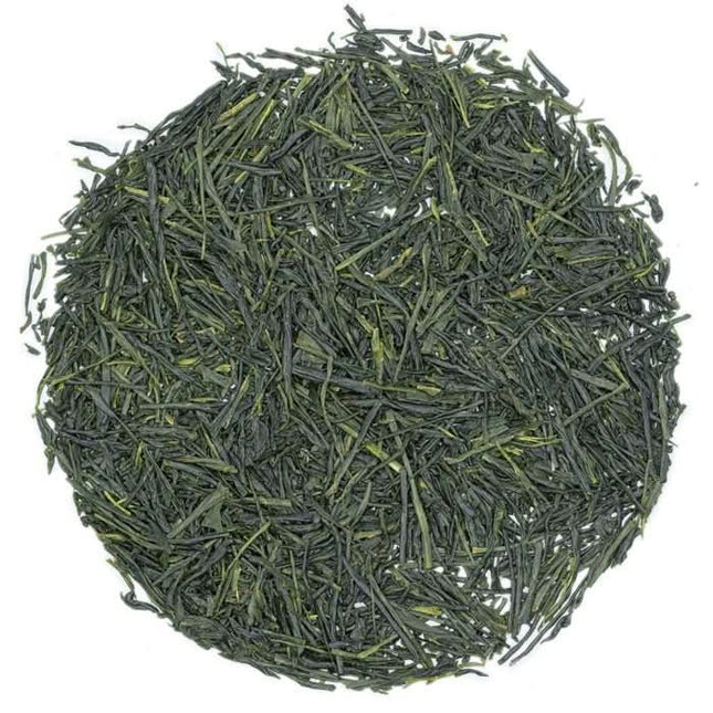 De Theeplantage Gyokuro Tokiwa Biologisch