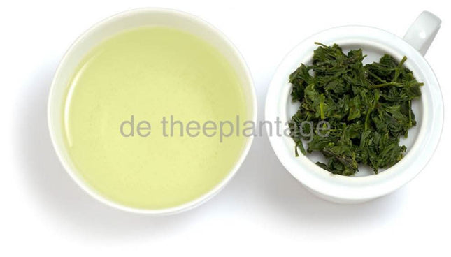De Theeplantage Gyokuro Tokiwa Biologisch