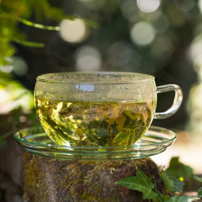 De Theeplantage Lung Ching Dragon Well Biologisch