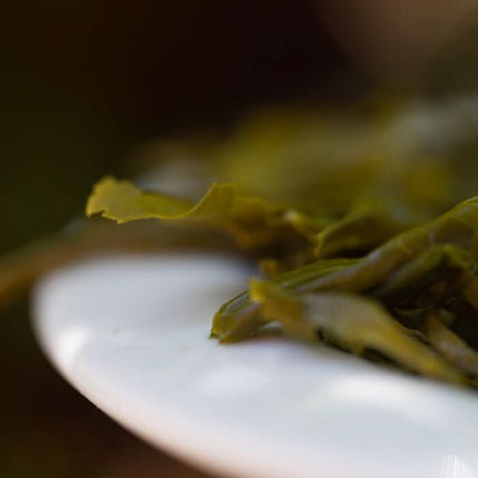 De Theeplantage Lung Ching Dragon Well Biologisch