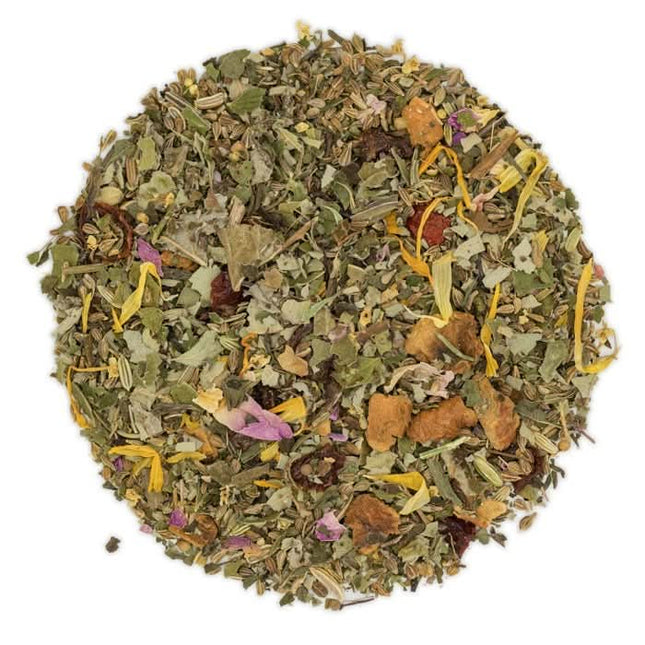De Theeplantage Rainy day thee biologisch