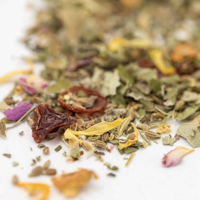 De Theeplantage Rainy day thee biologisch
