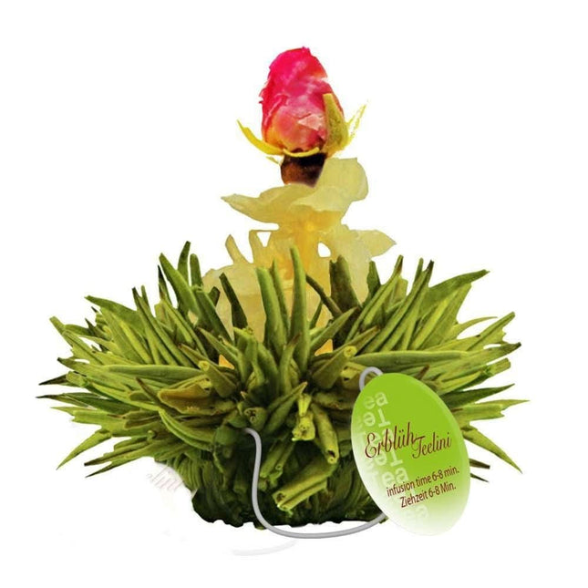 De Theeplantage Theebloem eenkops groen