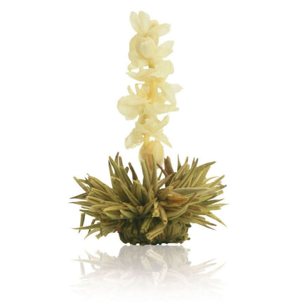 De Theeplantage Theebloemen Witte thee boeket cadeaudoosje