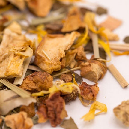 De Theeplantage Under the CocoTea Biologisch