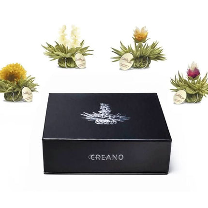 De Theeplantage Witte theebloemen eenkops in cadeaudoosje