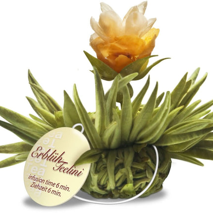De Theeplantage Witte theebloemen eenkops in cadeaudoosje