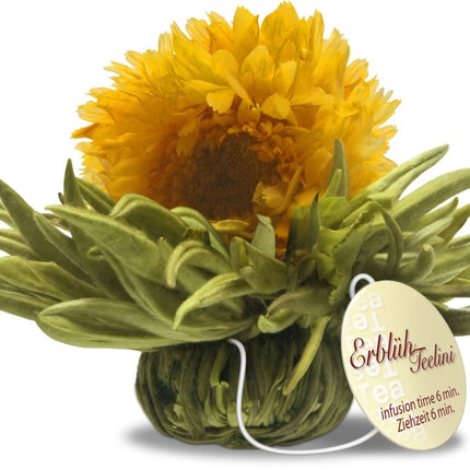 De Theeplantage Witte theebloemen eenkops in cadeaudoosje