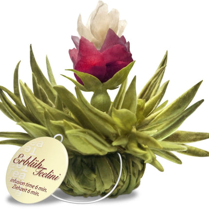 De Theeplantage Witte theebloemen eenkops in cadeaudoosje