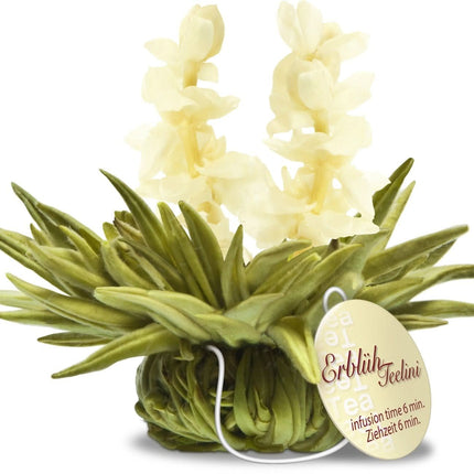 De Theeplantage Witte theebloemen eenkops in cadeaudoosje