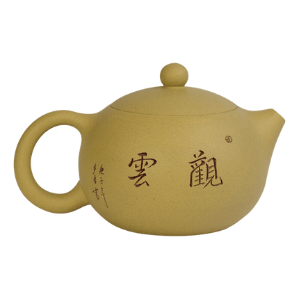 De Theeplantage Yixing xishi theepot - traditioneel chinees