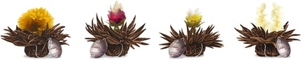 De Theeplantage Zwarte theebloemen eenkops in cadeaudoosje