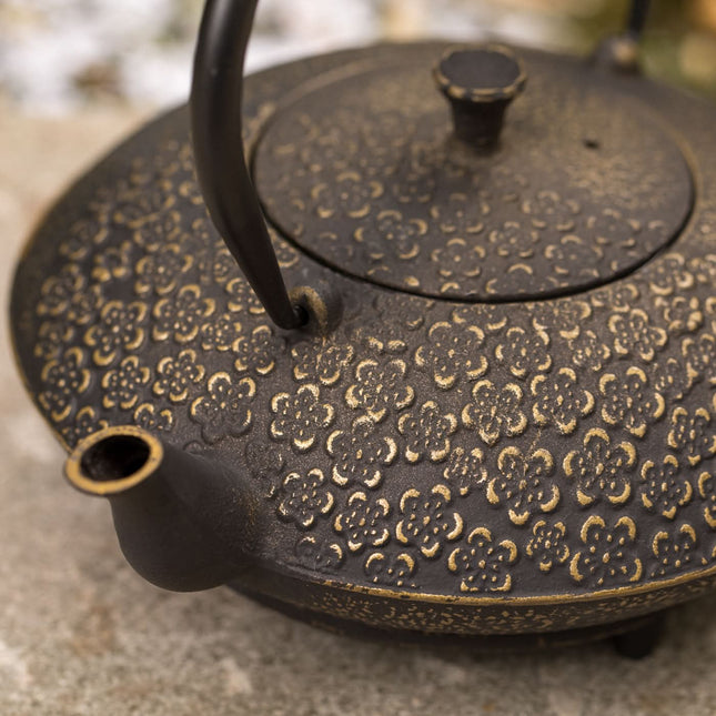 Gietijzeren theepot Hana 1 liter