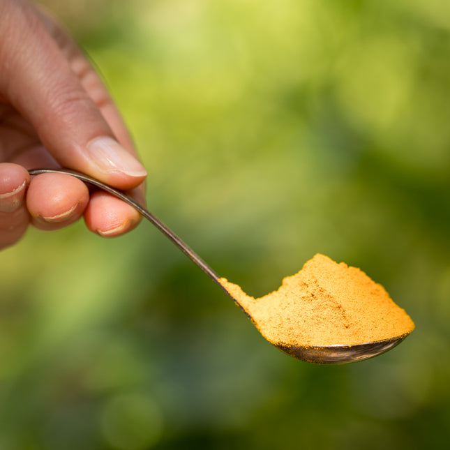 Een hand houdt een lepel met felgele biologische Golden Latte van De Theeplantage vast tegen een groene, vage achtergrond.