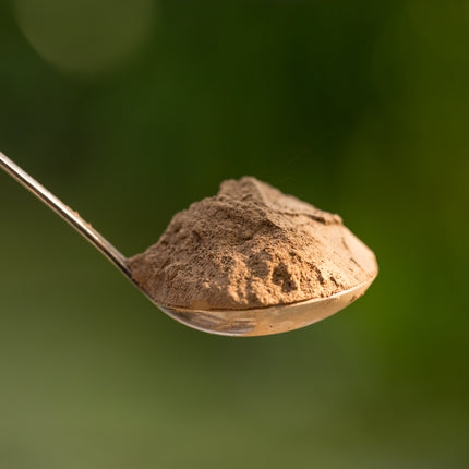 Een lepel met biologisch Houjicha-poeder van De Theeplantage, gefotografeerd tegen een vaalgroene achtergrond.