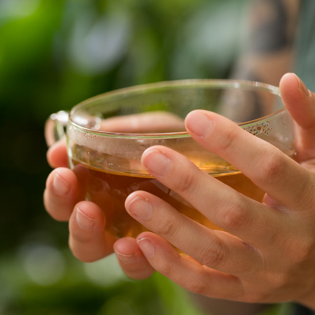Twee handen houden een Trendglas Jena Jumbo theekop en schotel van 0,4 liter met hete thee vast, buiten met groen op de achtergrond.