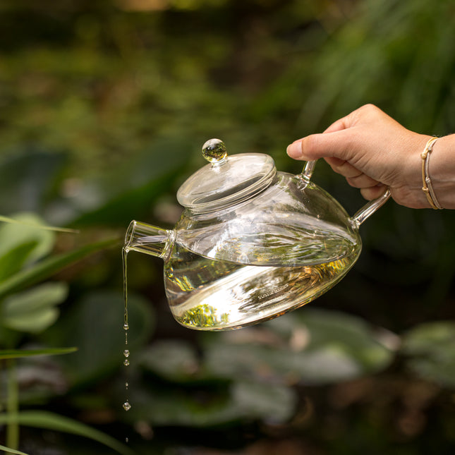 Een hand schenkt water uit de Trendglas Jena NOVA-waterkoker van 1,2 liter naar buiten, met enkele druppels in het licht en vage groene planten op de achtergrond.