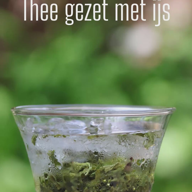 Japan Sencha Uji Premium Biologisch