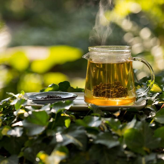 Trendglas Jena Theepotje Tea for two